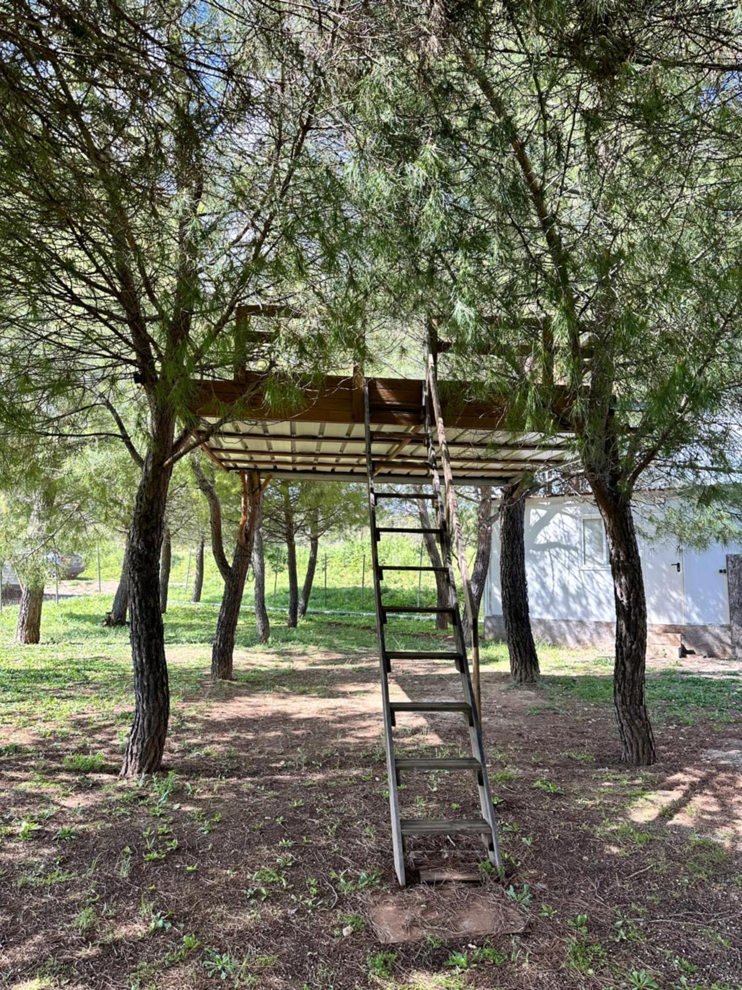 Bungalow Infanta Torrelaguna Exterior photo