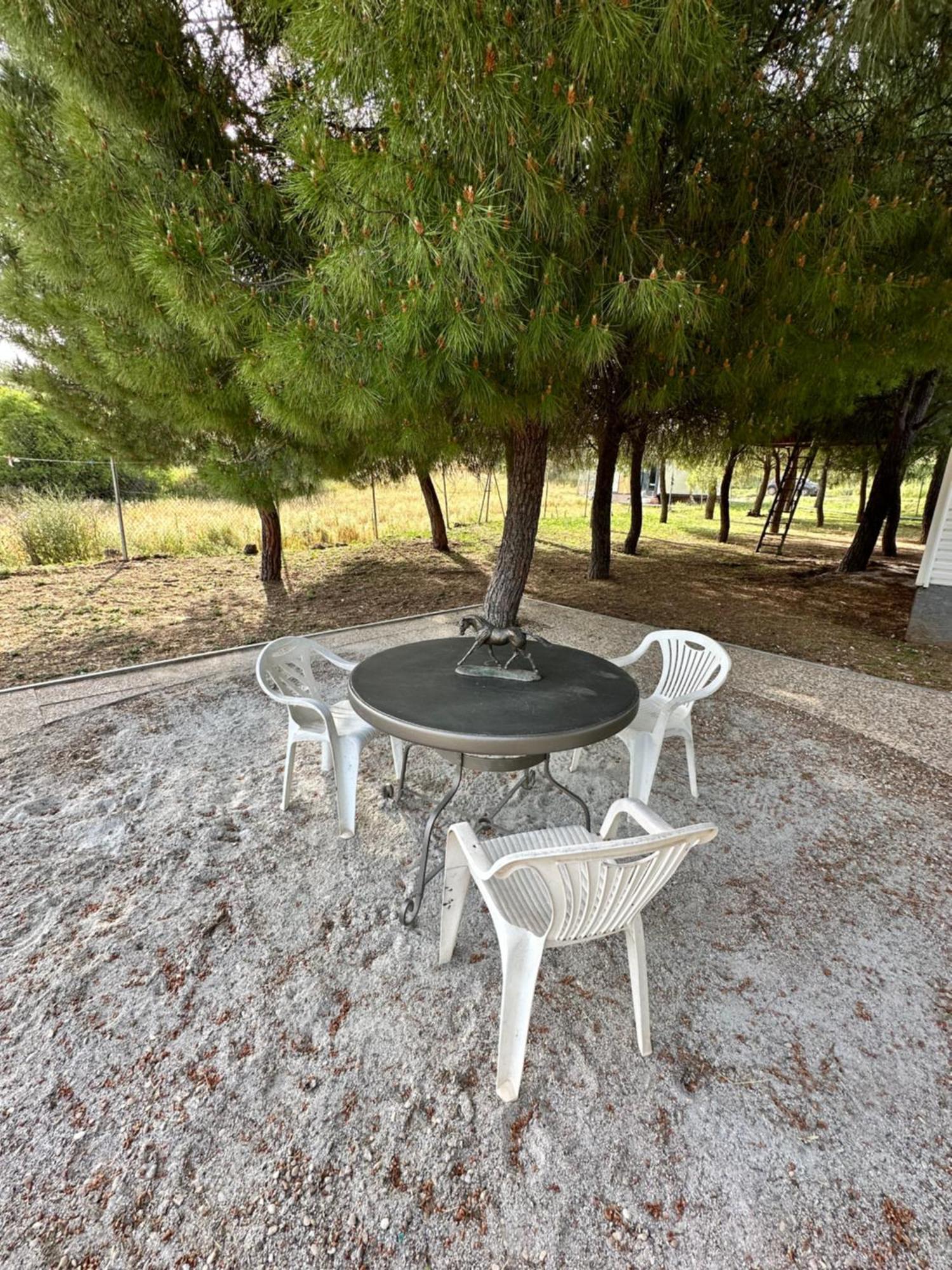 Bungalow Infanta Torrelaguna Exterior photo