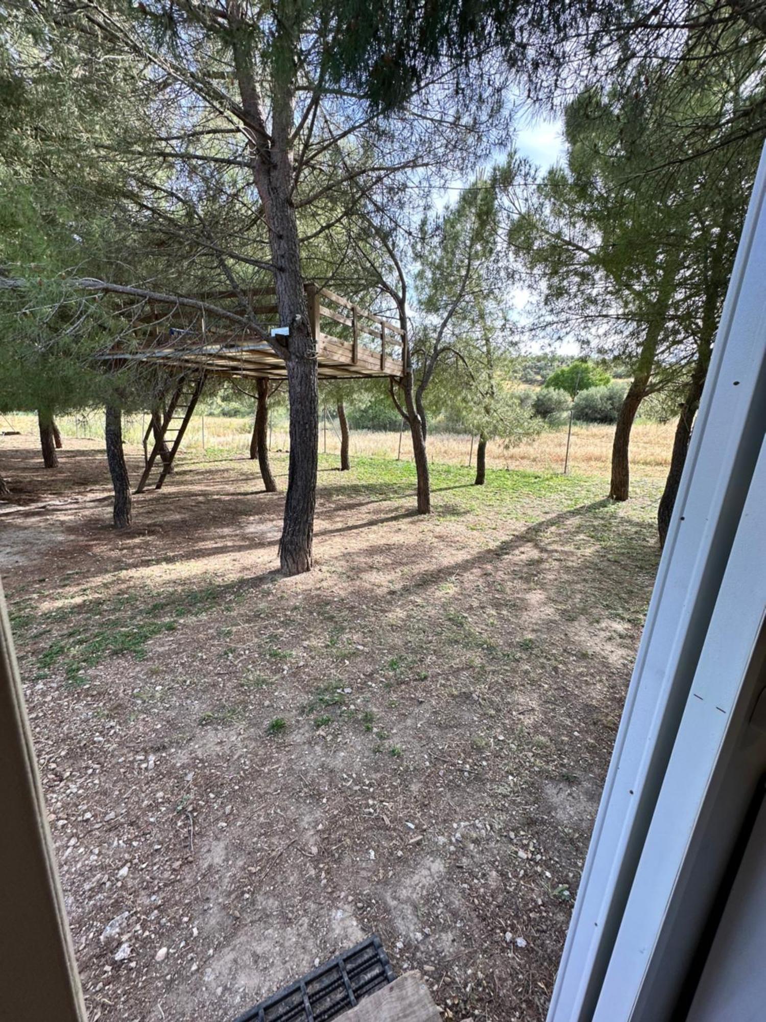 Bungalow Infanta Torrelaguna Exterior photo